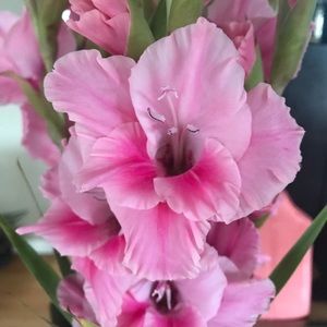 Accepting all offers everything must go!!